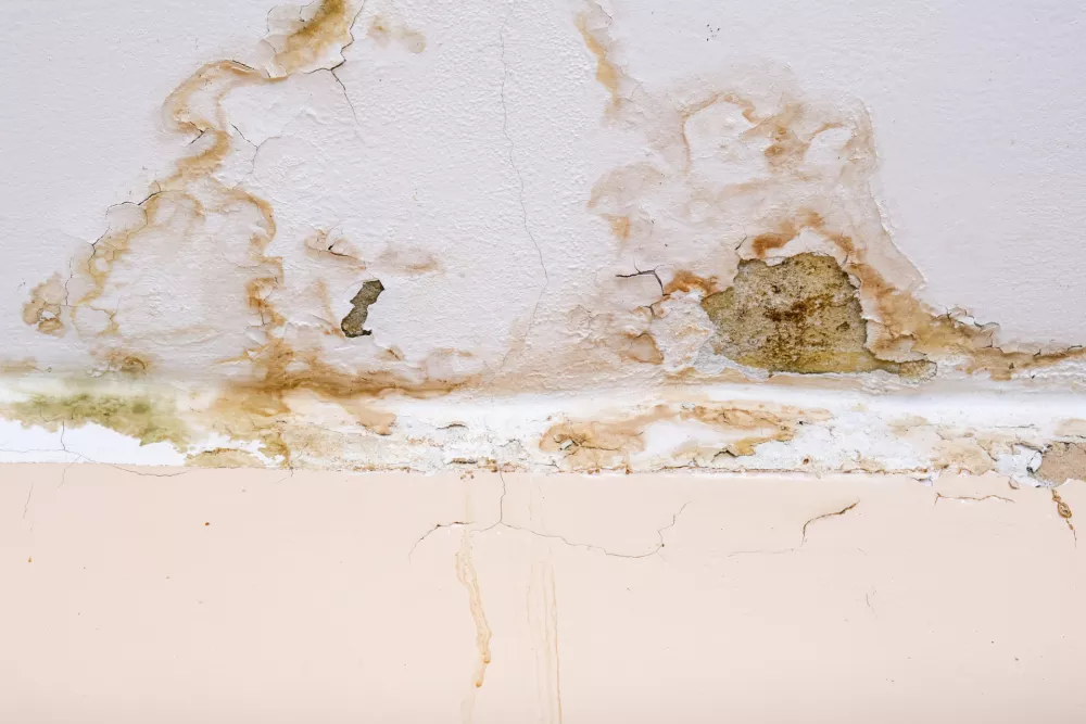 Rain water leaks on the ceiling because of damaged roof causing decay, peeling paint and moldy. / Foto: Nadezhda Mikhalitskaia