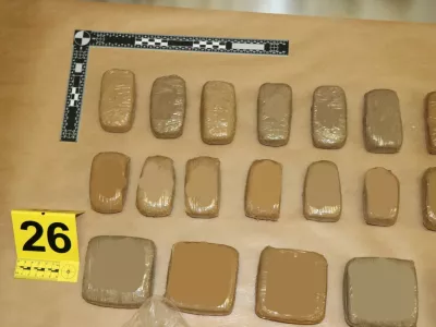 Zaseg, mamila. Foto: PU Nova Gorica