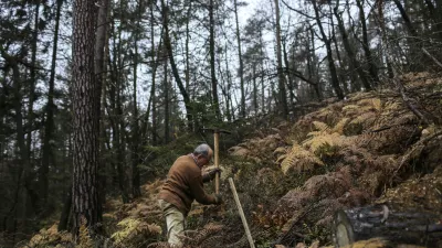 ﻿- 15.11.2014 Rekreativni park Mostec v Ljubljani - Vseslovenska jesenska akcija Obnovimo slovenske gozdove - pogozdovanje ljubljanskih gozdov - obnova v žledolomu poškodovanih gozdov - sadnja sadik gozdnega drevja - obnova gozdov - gozdarstvo - gozdovi - gozd - drevesa - sanacija -  //FOTO: Jaka Gasar / Foto: Jaka Gasar