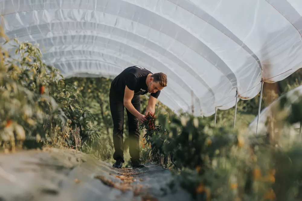 Žiga Legnar v rastlinjaku / Foto: Osebni Arhiv