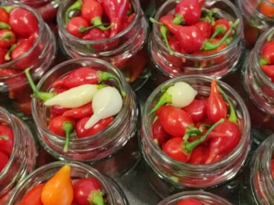 vloženi čiliji kmetija Legnar / Foto: Osebni Arhiv