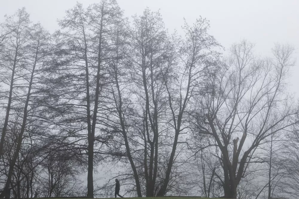 - 12.12.2025 - reportaža megla - Koseški bajer//FOTO: Jaka Gasar