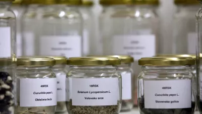 - Dru&scaron;tvo varuhi semen Maribor - projekt semenska knjižnica - slovenska avtohtona semena- Digitalni herbarij semenske knjižnice - projekt Urbanih brazd, programskega sklopa EPK, - rastlinska banka semen avtohtonih, domačih in tradicionalnih vrst ter sort kulturnih rastlin, ki si jih je mogoče izposoditi za gojenje. ///FOTO: Luka Cjuha OPOMBA: ZA OBJAVO V PRILOGI &ndash; DNEVNIKOV OBJEKTIV - REPORTAŽA 2012