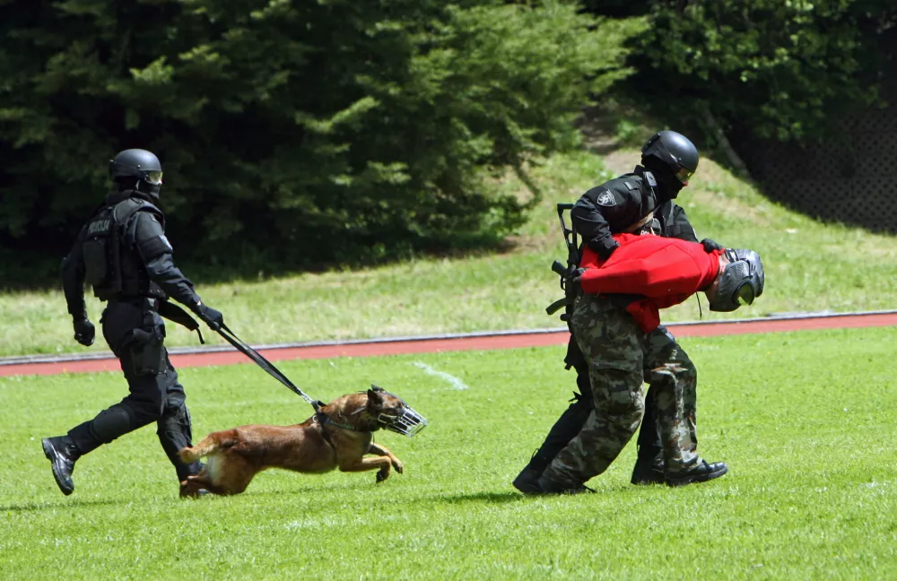﻿taktična vaja specialne policije - policijski službeni pes- 22.5.2013 - POLICIJA - Specialna enota policije praznovala 40 obletnico ustanovitve - //FOTO: Tomaž Skale