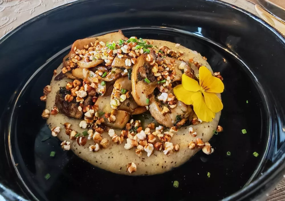 Jurčki na žaru na ajdovi polenti, Oaza Moravske Toplice