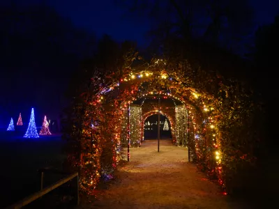 novoletne lučke božični praznikiadvent13.11.2025 Prižig novoletnih luči - arboretum Volčji potokFoto: Nik Erik Neubauer