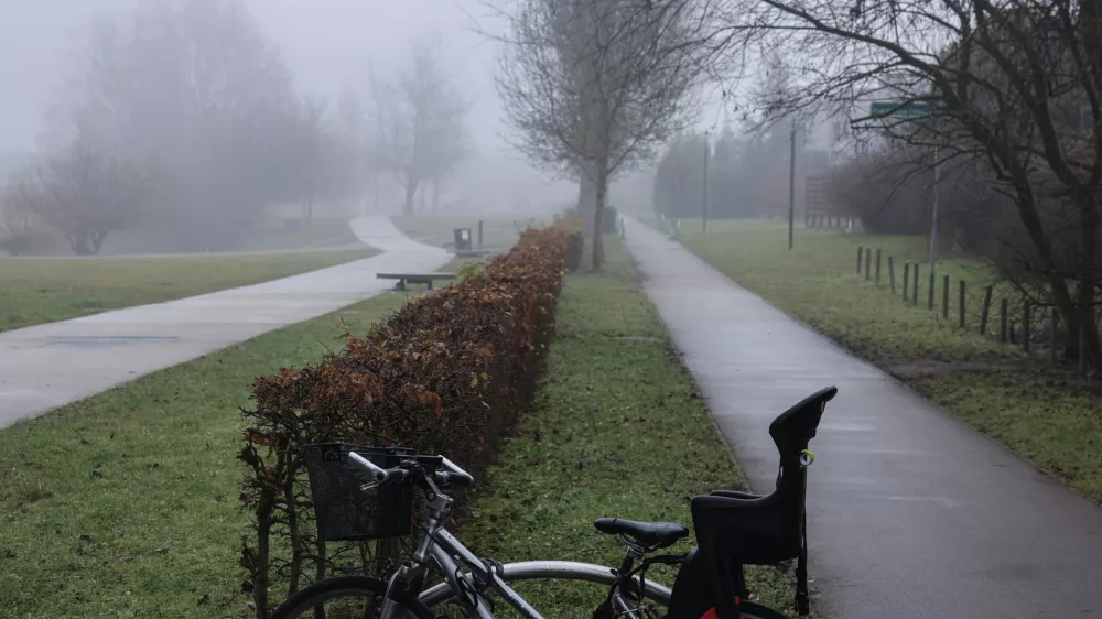 - 12.12.2025 - reportaža megla - Kose&scaron;ki bajer//FOTO: Jaka Gasar