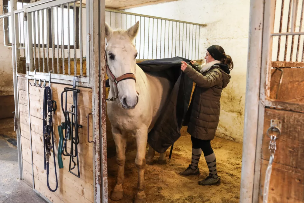- 29.12.2025. - Reportaža Konjeni&scaron;ki klub Grič v Ljubljani.//FOTO: Bojan Velikonja / Foto: Bojan Velikonja