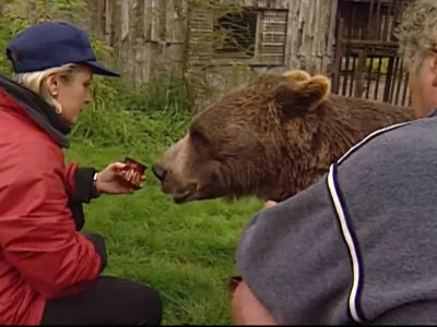 Foto: posnetek zaslona youtube