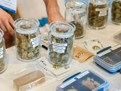 Konoplja, medicinska uporaba konoplje, marihuana