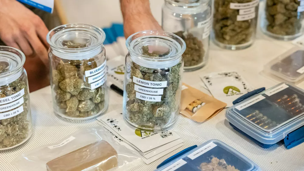 Konoplja, medicinska uporaba konoplje, marihuana