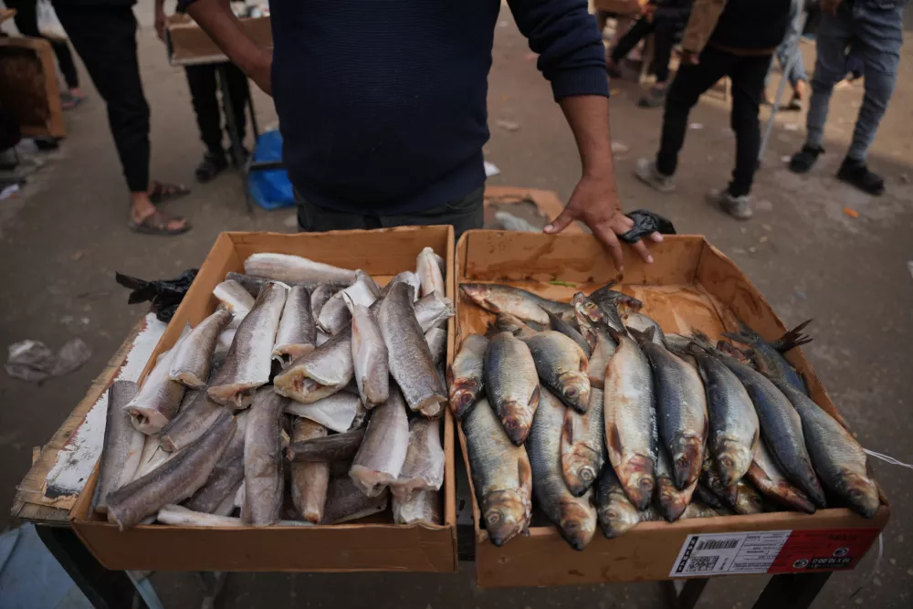 A Palestinian vendor displays sardines for sale on a street of a local market in Gaza City, Friday, Dec. 19, 2025. (AP Photo/Abdel Kareem Hana)