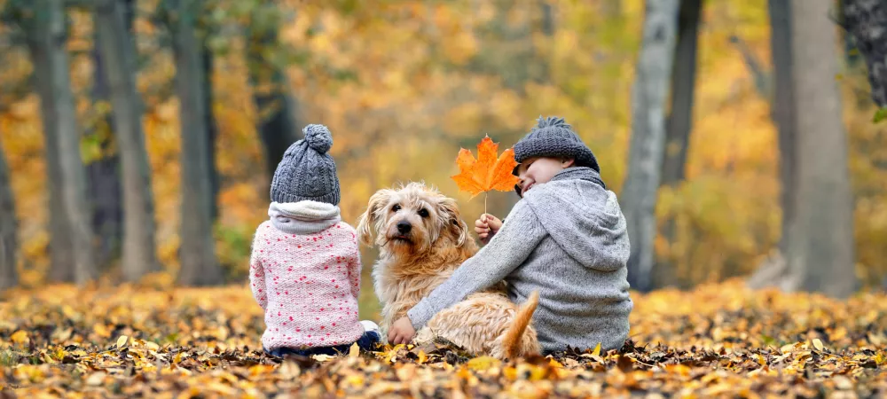 otroci, otroka, jesen / Foto: Peppi18