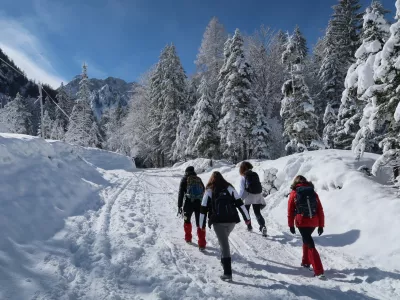 Zima, sneg, sonce, rekreacija, sprehod, narava Foto: Tatjana Pihlar / Foto: Tatjana Pihlar