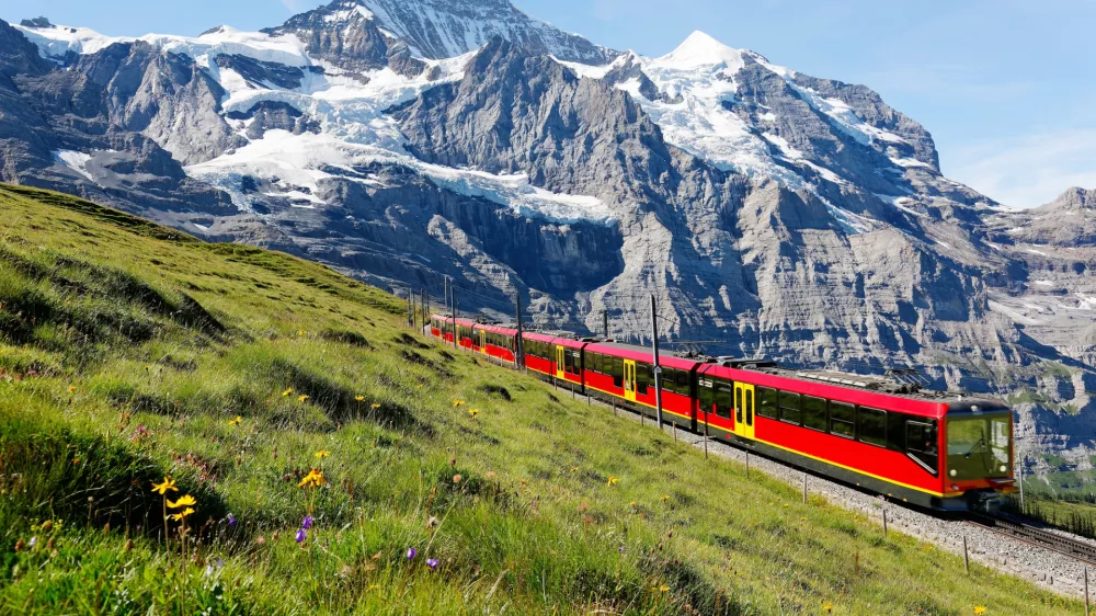 A tourist train travels on Jungfrau Railway from Jungfraujoch (Top of Europe) to Kleine Scheidegg & wild flowers bloom on a green grassy hillside under blue sunny sky in Bernese Oberland, Switzerland