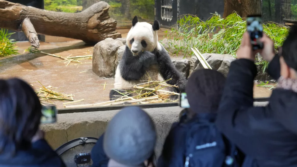 Foto: Reuters / Foto: Kotaro Numata