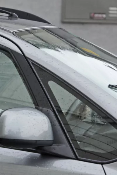 Voznik - starej&scaron;i voznik - starostniki - //FOTO: Luka Cjuha