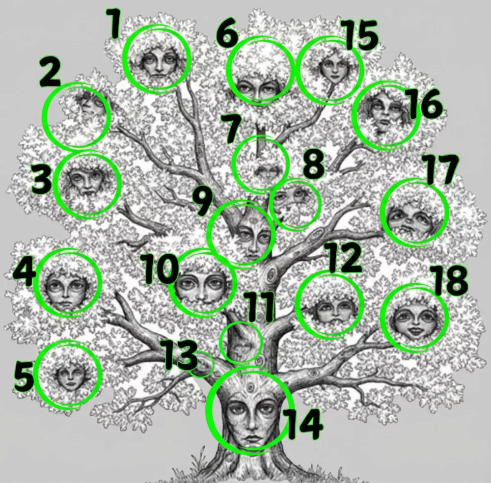 Re&scaron;itev z označenimi obrazi / Foto: Gg