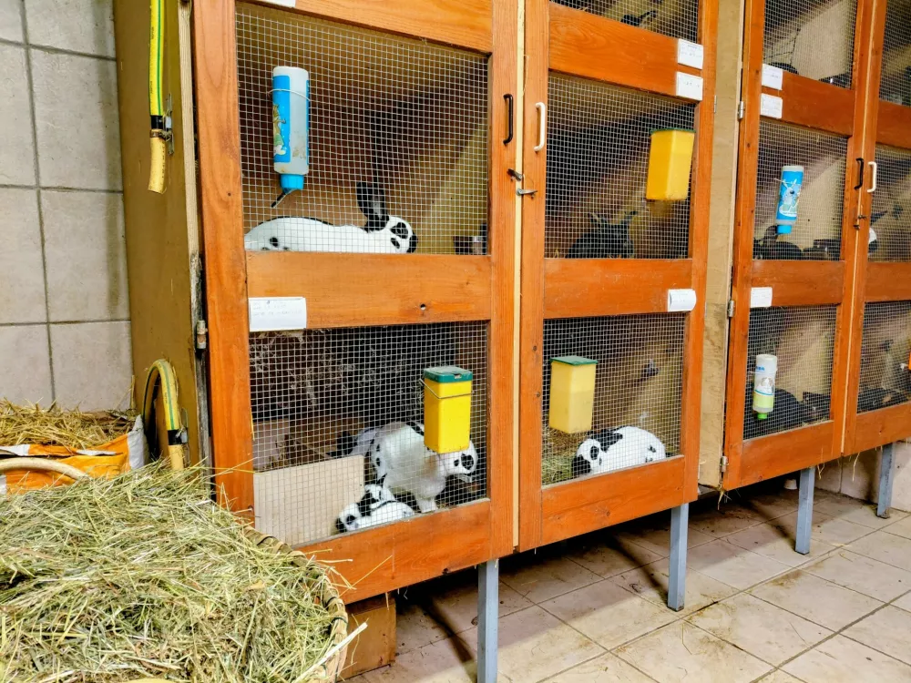 Po najlep&scaron;em samcu &scaron;e najlep&scaron;a samica v Evropi