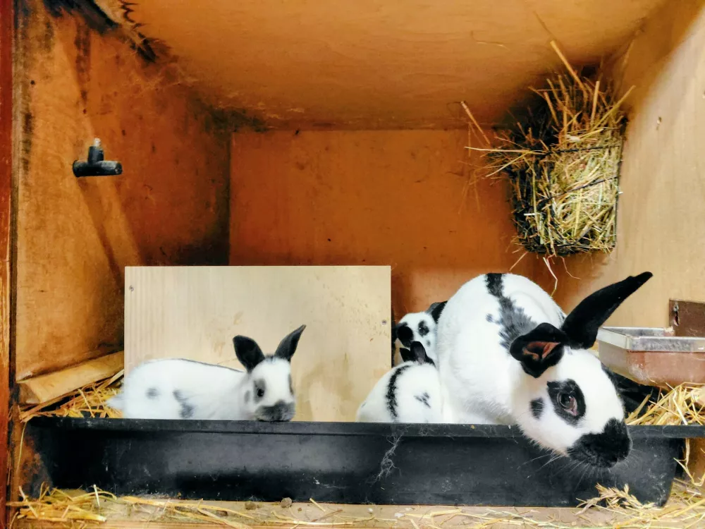 Po najlep&scaron;em samcu &scaron;e najlep&scaron;a samica v Evropi