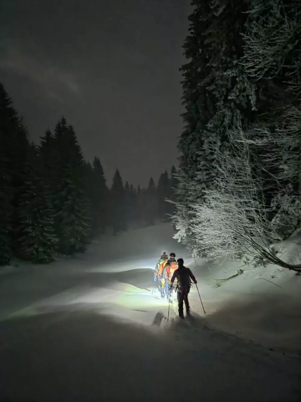 Gorsko re&scaron;evanje pohodnika s Črne prsti v snežnem metežu.