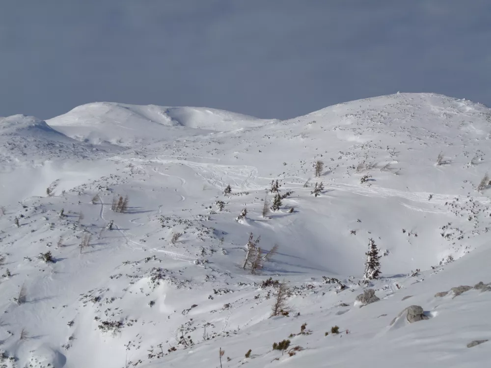 Dlesko&scaron;kova planota / Foto: Katja Petrovec