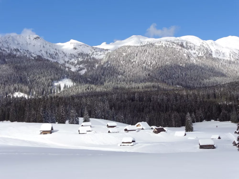 planina Javornik, Pokljuka, mrazi&scaron;če / Foto: Katja Petrovec