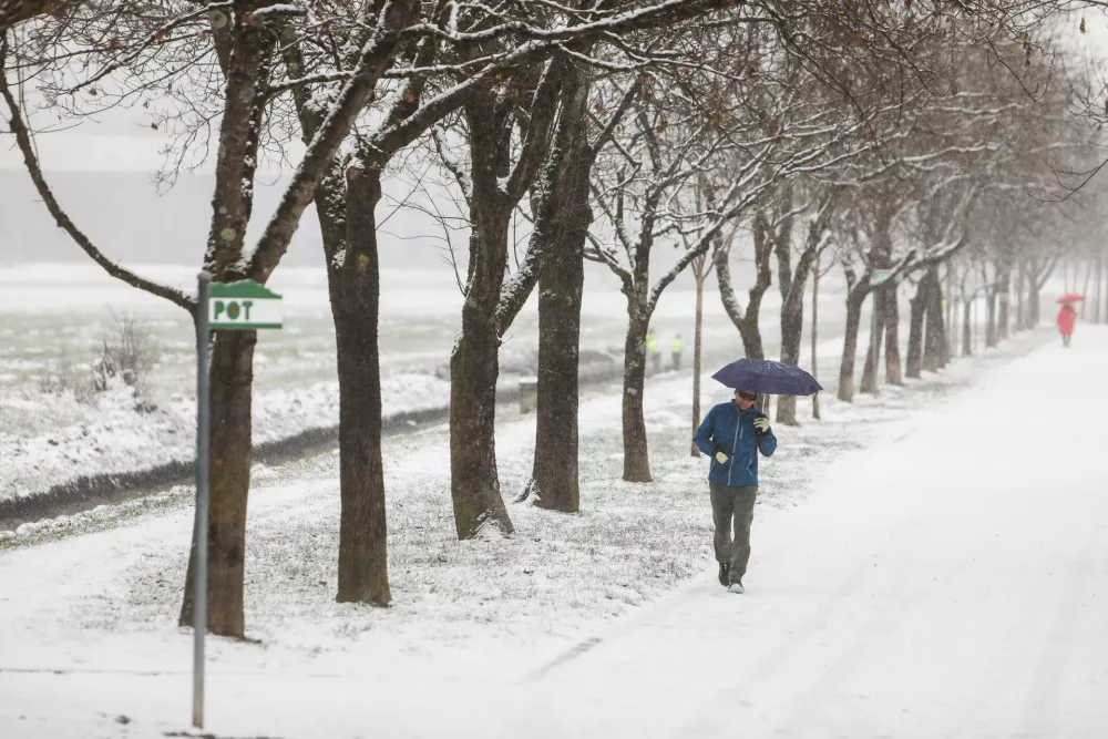 - 05.01.2025. - Sprehajalec na Poti ob žici. Mraz, Sneženje.//FOTO: Bojan Velikonja