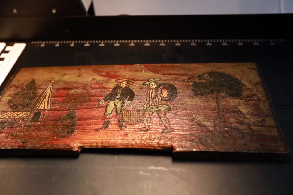 09.01.2026-Panjske kočniceFoto: Tomaž Skale / Foto: 