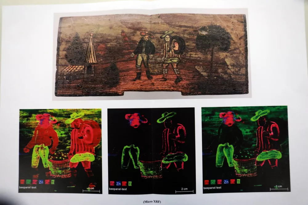 09.01.2026-Panjske kočniceFoto: Tomaž Skale / Foto: 