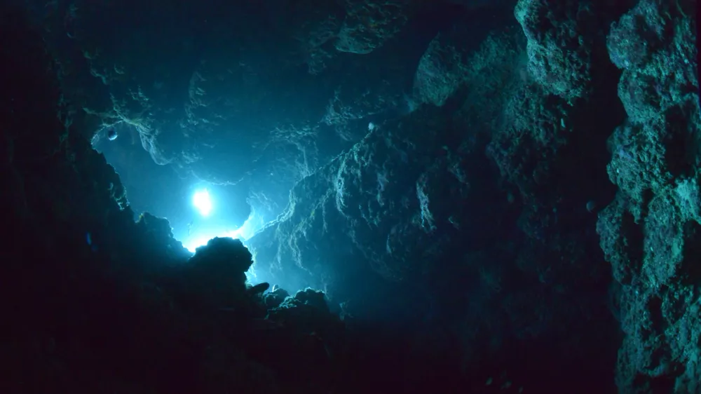 Slika, ki je nastala nedaleč od Okinave, je simbolična.