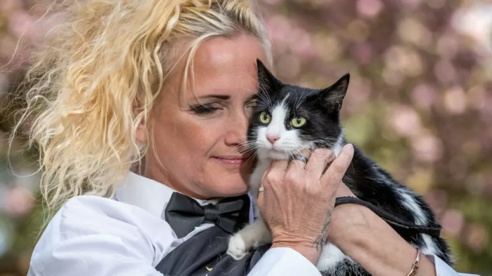 Deborah Hodge se je poročila s svojo mačko, da bi preprečila, da bi jo najemodajalci v prihodnje silili, naj se odpove svojemu ljubljenemu hi&scaron;nemu ljubljenčku. Foto: IG/Deborah Hodge