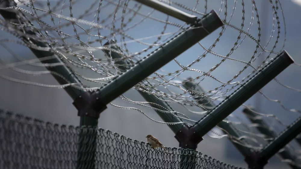 Zloraba, ne pa umetni&scaron;ko ustvarjanje