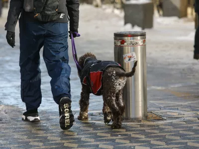 Kdaj gre lahko bolnik zdoma brez odobritve