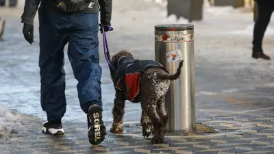 Kdaj gre lahko bolnik zdoma brez odobritve