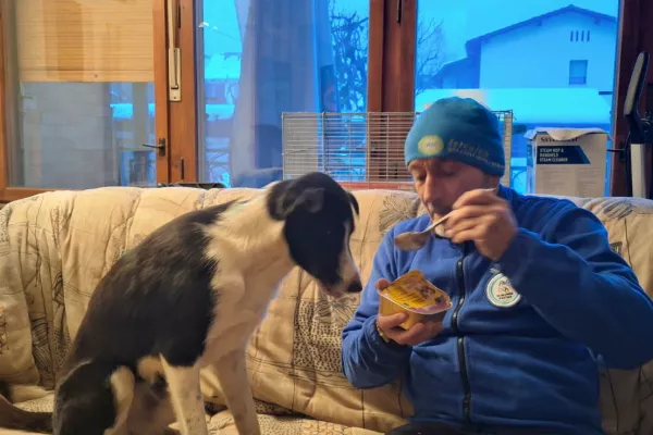 Sestradana Eli, a na varnem in toplem. Foto: Facebook