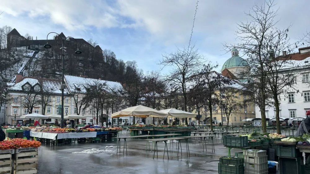Cene na tržnici: Ko gredo temperature dol, gredo cene gor
