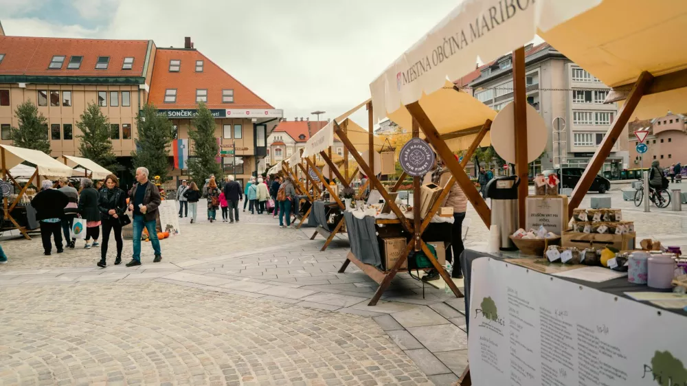 Festival Stare trte in stojnice