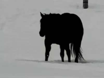 Sporna slika / Foto: Zajem Zaslona/tiktok