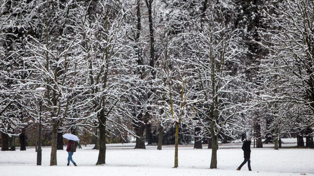 Zakaj lymsko boreliozo zaznavajo tudi pozimi