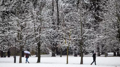 Zakaj bolezen, ki jo prenašajo klopi, zaznavajo tudi pozimi?