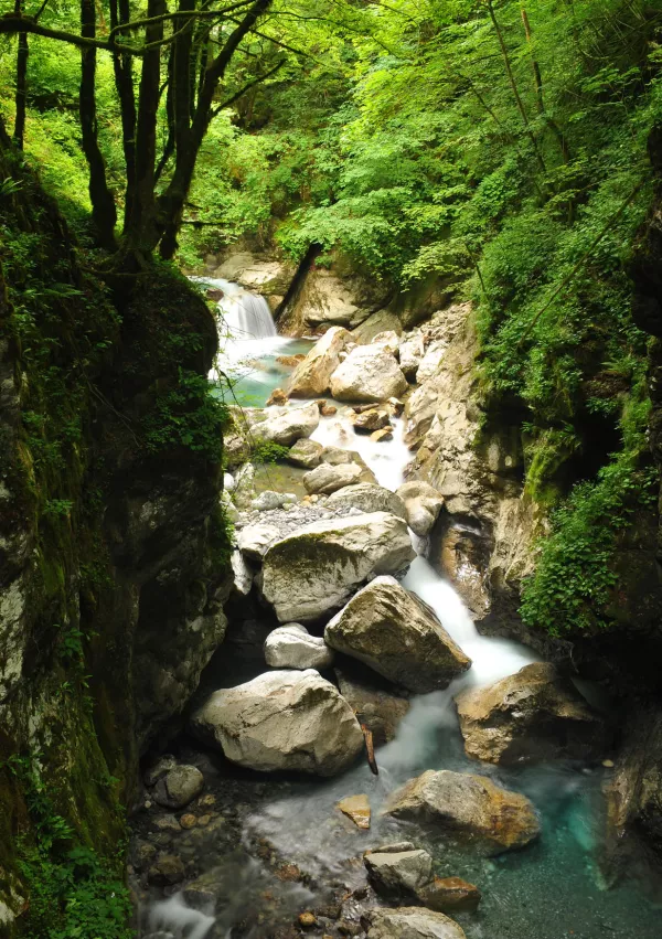 Korita Tolminke / Foto: Franci Horvat