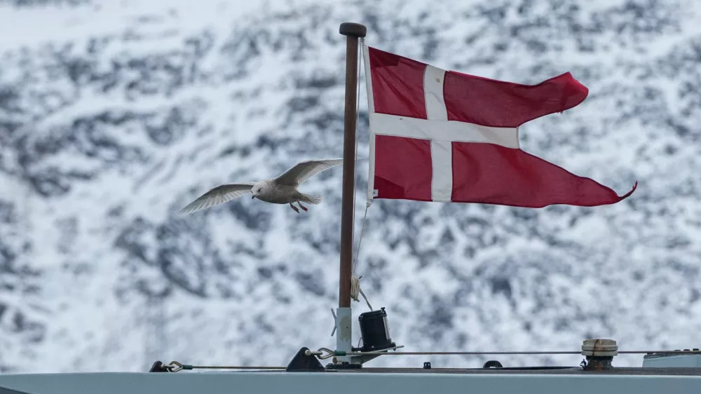 A seagull flies past the Danish military Offshore Patrol Vessel P570 HDMS Knud Rasmussen in Nuuk, Greenland, January 16, 2026. REUTERS/Marko Djurica