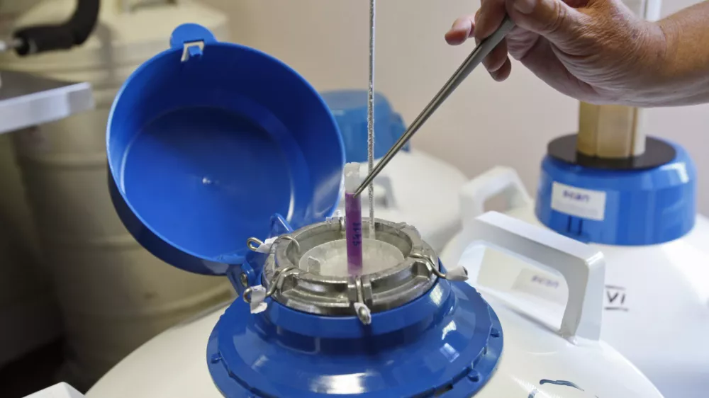 sharnjevanje sperme- spermalna banka - sperma - banka semen - medicinska reprodukcija - ginekologija - Klinični oddelek za reprodukcijo Ginekolo&scaron;ke klinike, Zalo&scaron;ka 2//FOTO: Luka Cjuha