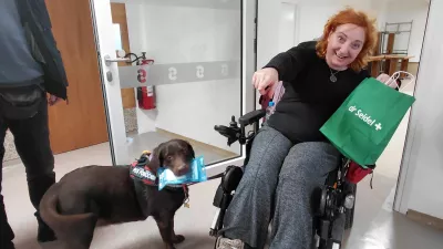 Partner na štirih tačkah: Šolani za pomoč, a zvesti vse življenje