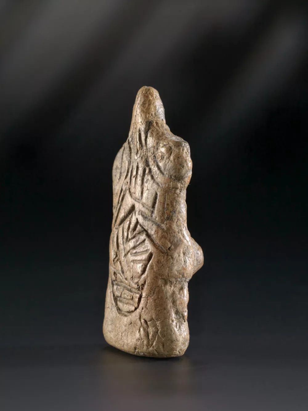 Razstave v letu 2026: Od prazgodovine do sodobnega eksperimenta