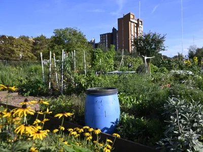 Novi vrtički bodo na Grbi