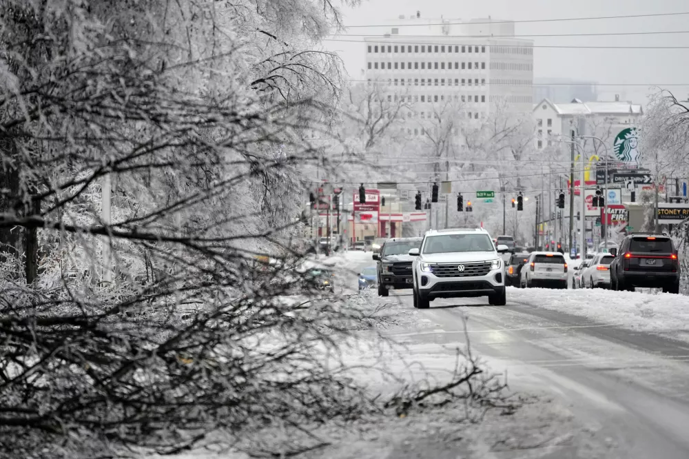 A motorist passes an ice covered tree limb blocking a lane along West End Ave. during a winter storm Sunday, Jan. 25, 2026, in Nashville, Tenn. (AP Photo/George Walker IV)