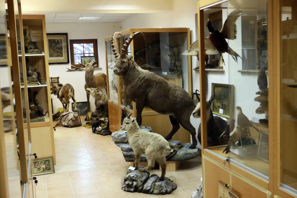 Skoraj stoletje in tri manj kot 10.000 živali