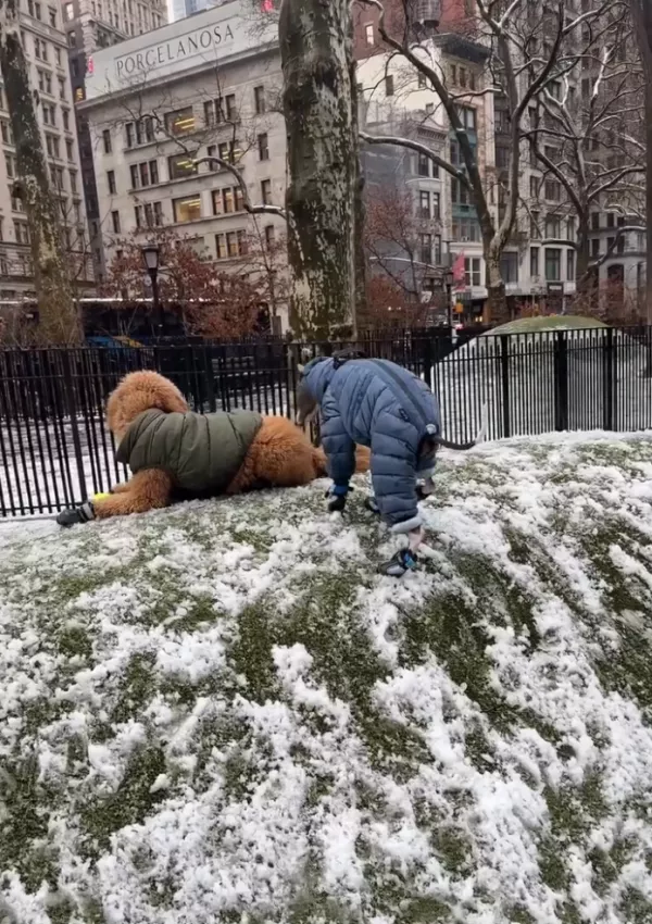 Obutev ga ne moti, ko sreča prijatelja. / Foto: Instagram